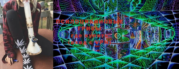ешки Коряжма