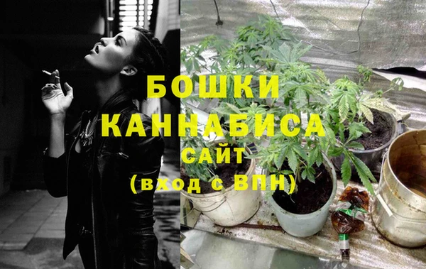 амф Корсаков