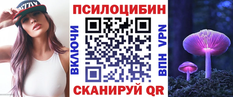 Галлюциногенные грибы Psilocybe  купить наркотик  Белорецк 