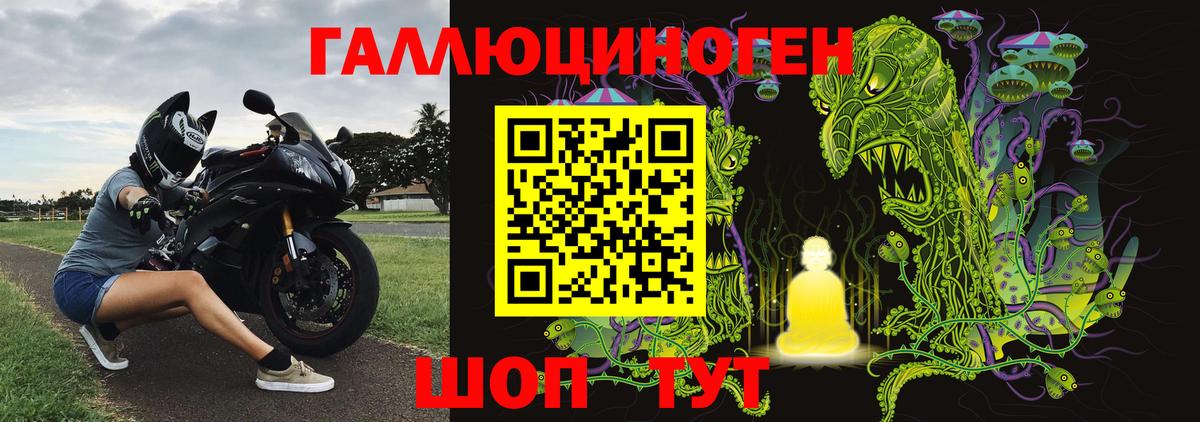 Галлюциногенные грибы Cubensis Белорецк