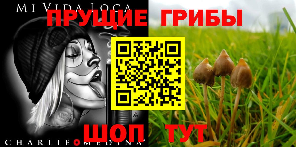 Белорецк  Псилоцибиновые грибы мухоморы  Вход с VPN 